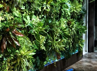 イミテーショングリーン