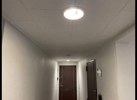 天井　貼り替え